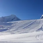 Wildkogel 1 By Interhome Apartment Neukirchen am Großvenediger