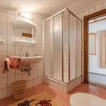 Apartment Wildkogel 1 By Interhome
