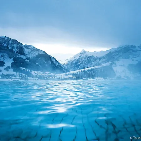 Appartement Wildkogel 1 By Interhome *