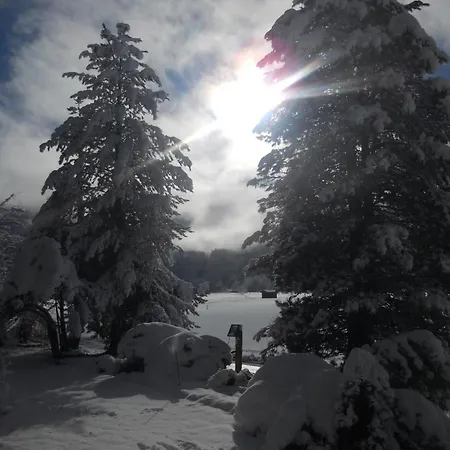 Wildkogel 1 By Interhome * Neukirchen am Großvenediger