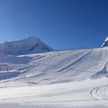 Wildkogel 1 By Interhome Διαμέρισμα Neukirchen am Großvenediger