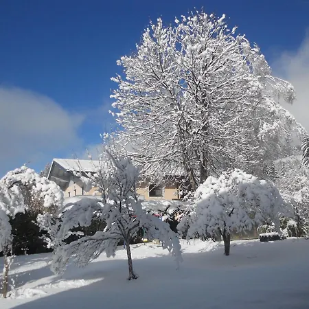 Wildkogel 1 By Interhome