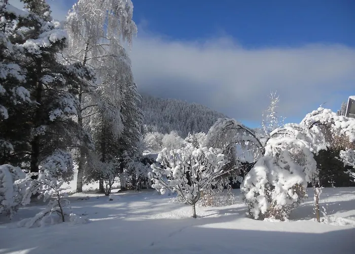Wildkogel 1 By Interhome 公寓